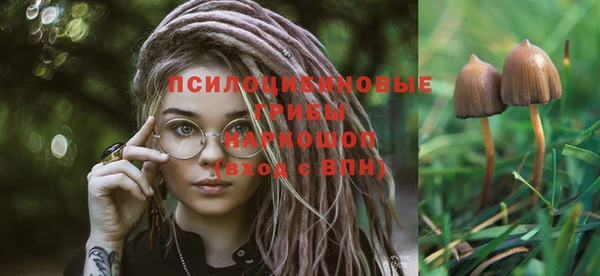 каннабис Хадыженск